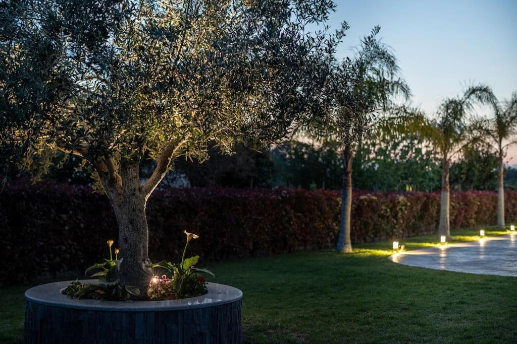 "Aeolos" Luxury Villa Превеза Экстерьер фото